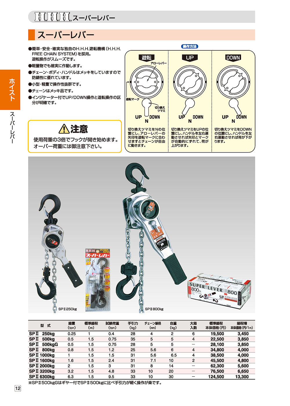 SALE／69%OFF】 お買い得工具DIYのお店キヨシスリーエッチ HHH 電気チェーンブロック ES250kg 揚程6ｍ 100V 